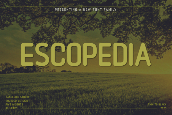 Escopedia Rounded: The Modern Typeface for Makers
