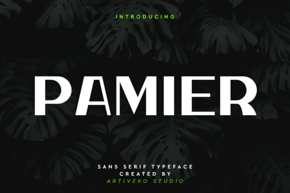 Pamier Typeface for Modern Campaign Design