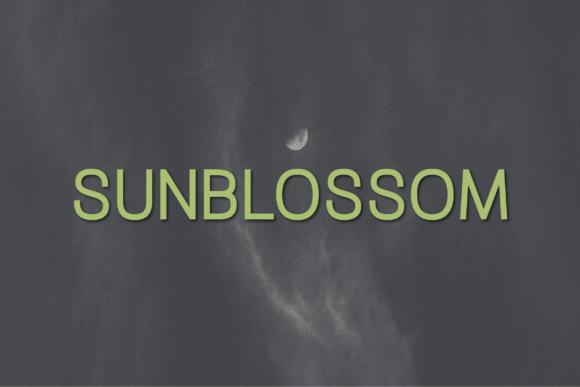 Sunblossom: The Modern Sans Serif Typeface for Marketers