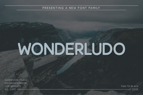 Wonderludo Rounded: The Typeface for Bold Brands